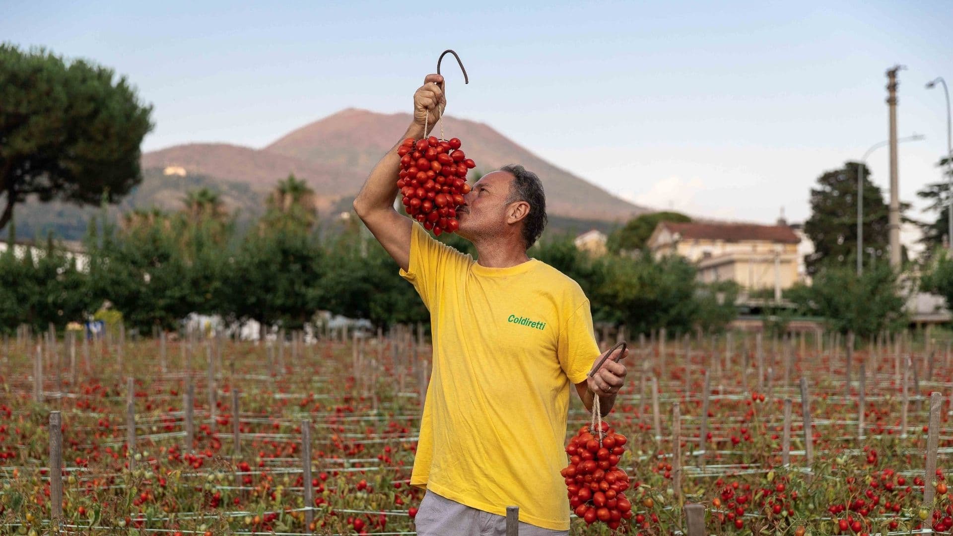 Entdeckung des Vesuvius Piennolo Tomaten g.U. mit Pasquale Imperato